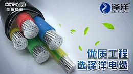 泽洋电缆有限公司登陆CCTV央视广告，品牌迅速提升