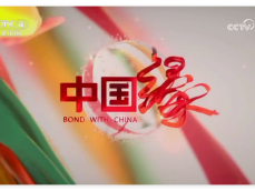 央视4套中国缘